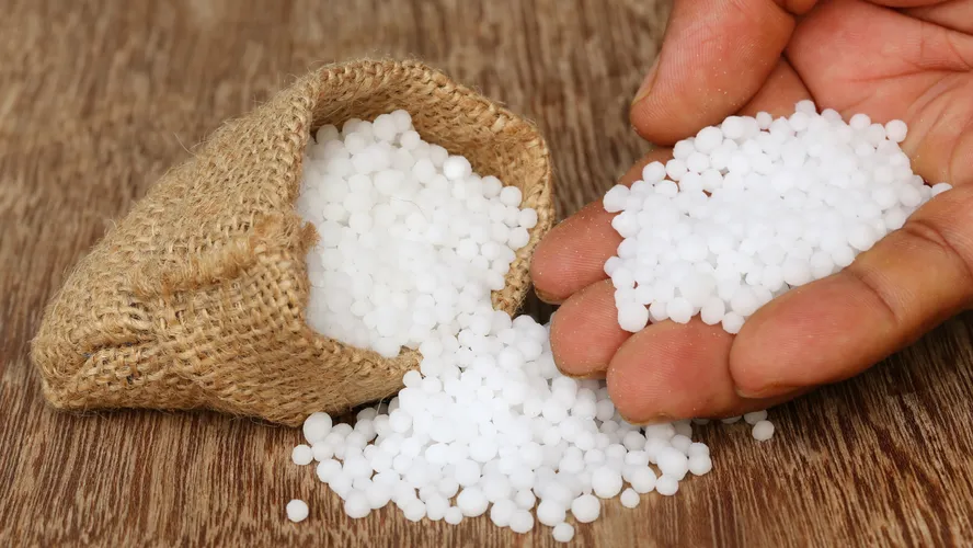Imagem do conteúdo sobre ureia agrícola e uso do fertilizante
